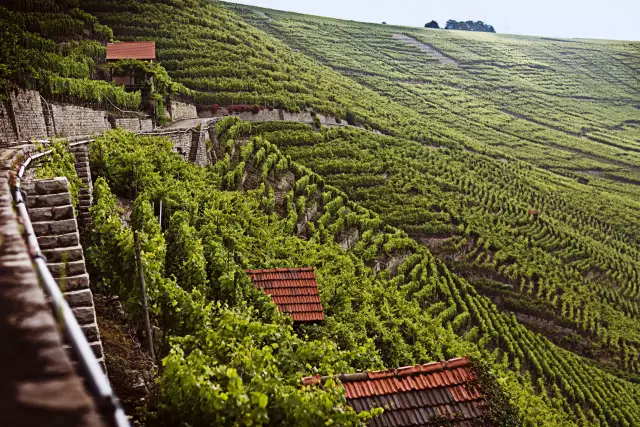 Blick von der Kaesbergkanzel